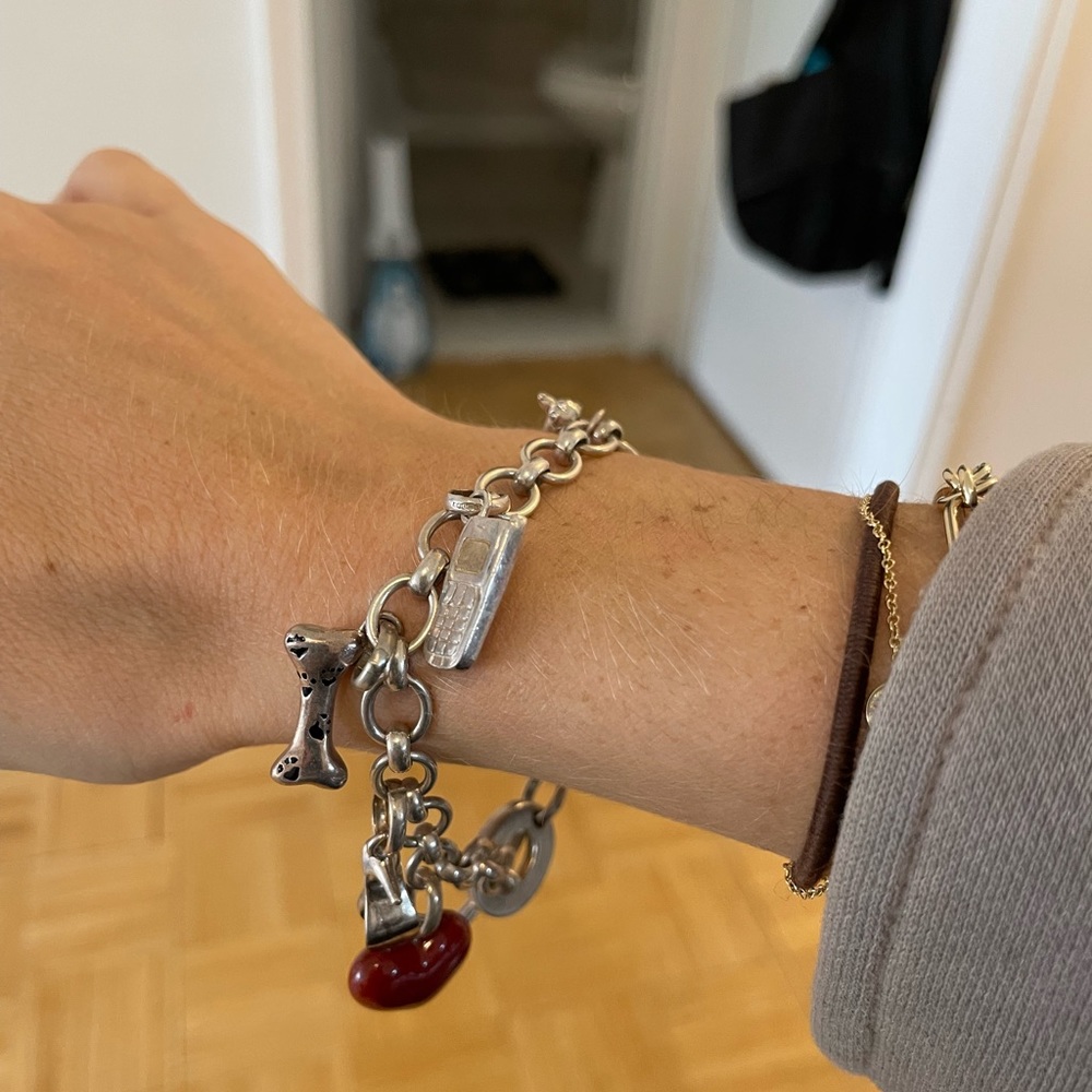 charm bracelet. Charms:a dog, dog bone, heart, bikini, cell phone, sandal, & car